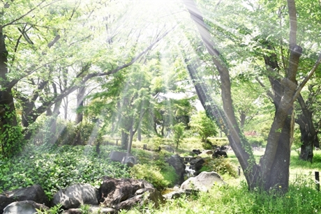 ���̌����镗�i