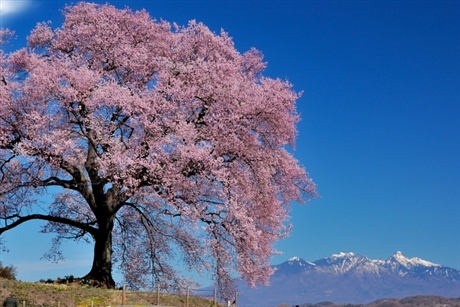 ��������ɂ����ʐ^