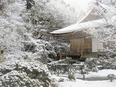 ��჌�t�J�����Ő�i�F���B��