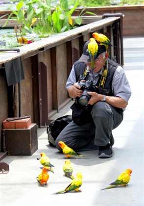 しゃがんで鳥を撮る