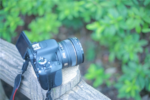 一眼レフカメラの練習